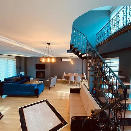 Villa Han Villa Sakarya (Marmara)